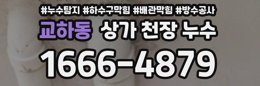 교하동 상가 천장 누수
