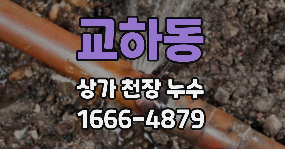 교하동 상가 천장 누수
