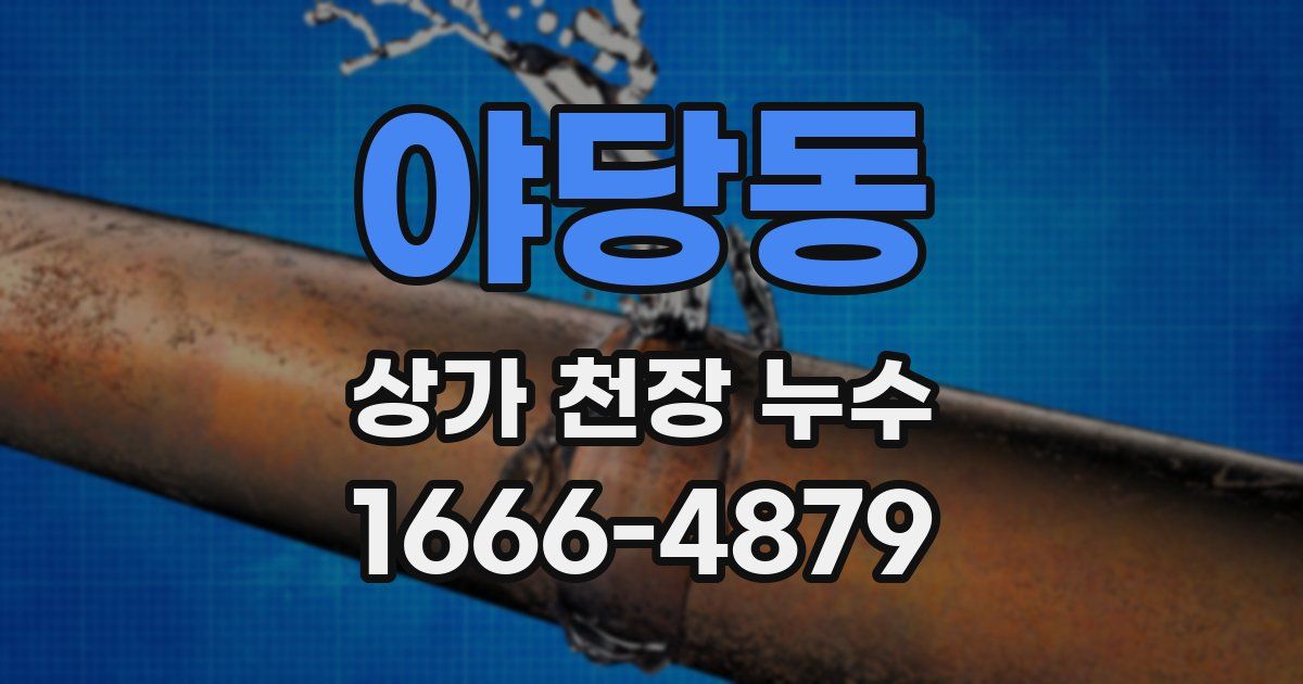야당동 상가 천장 누수