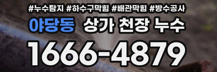 야당동 상가 천장 누수