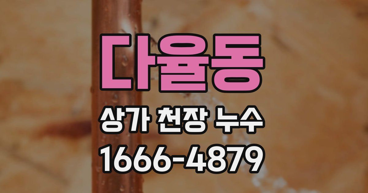 다율동 상가 천장 누수