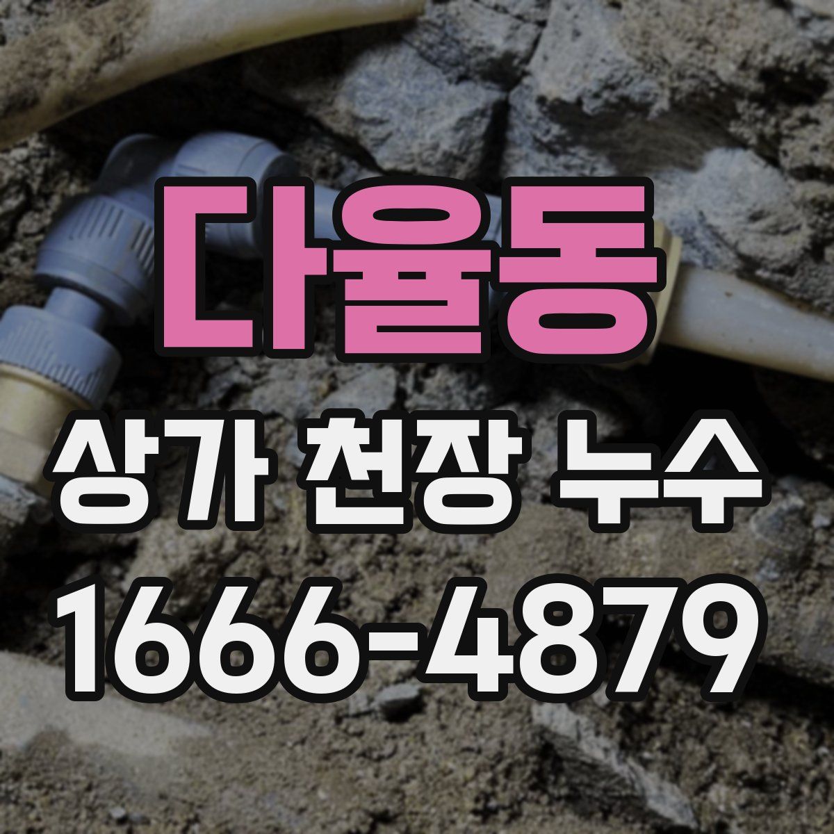 다율동 상가 천장 누수
