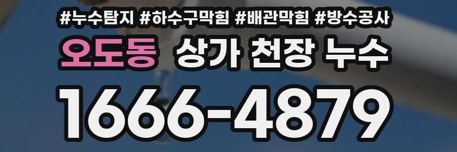 오도동 상가 천장 누수