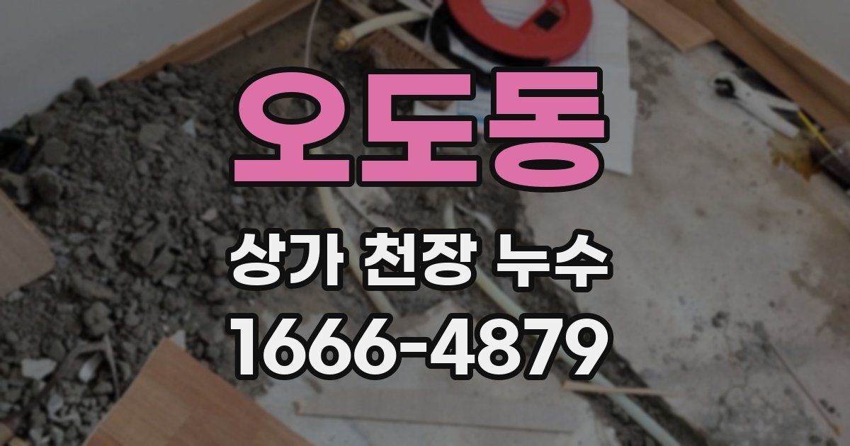 오도동 상가 천장 누수