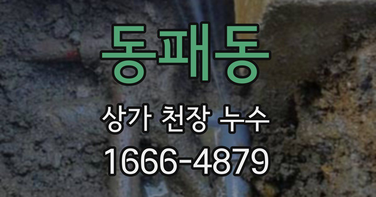 동패동 상가 천장 누수
