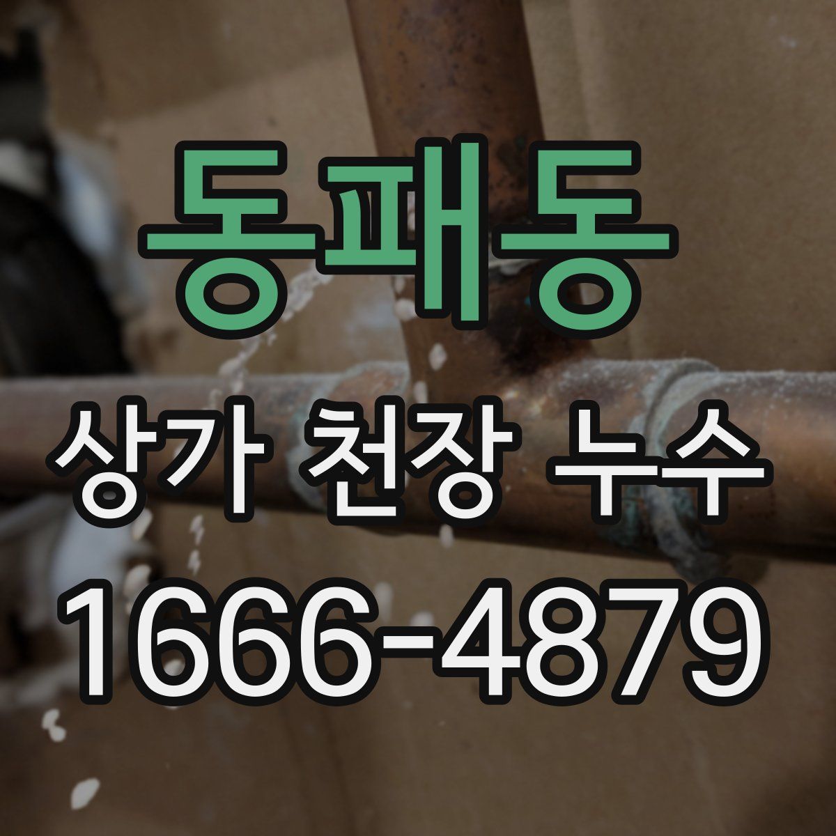 동패동 상가 천장 누수