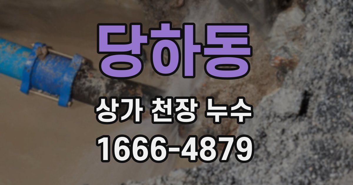 당하동 상가 천장 누수