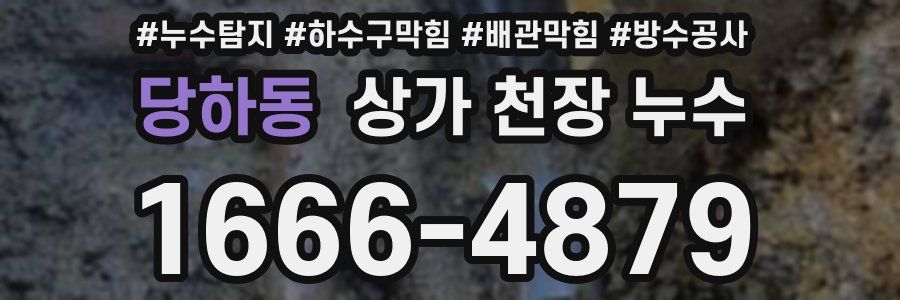 당하동 상가 천장 누수