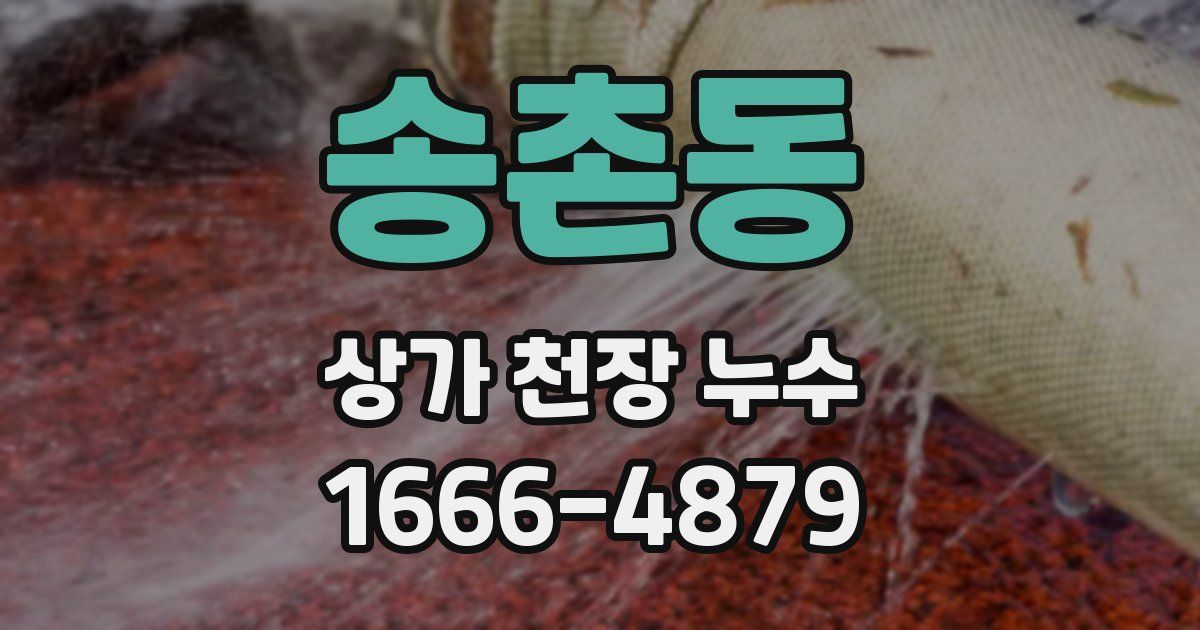 송촌동 상가 천장 누수
