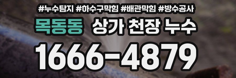 목동동 상가 천장 누수