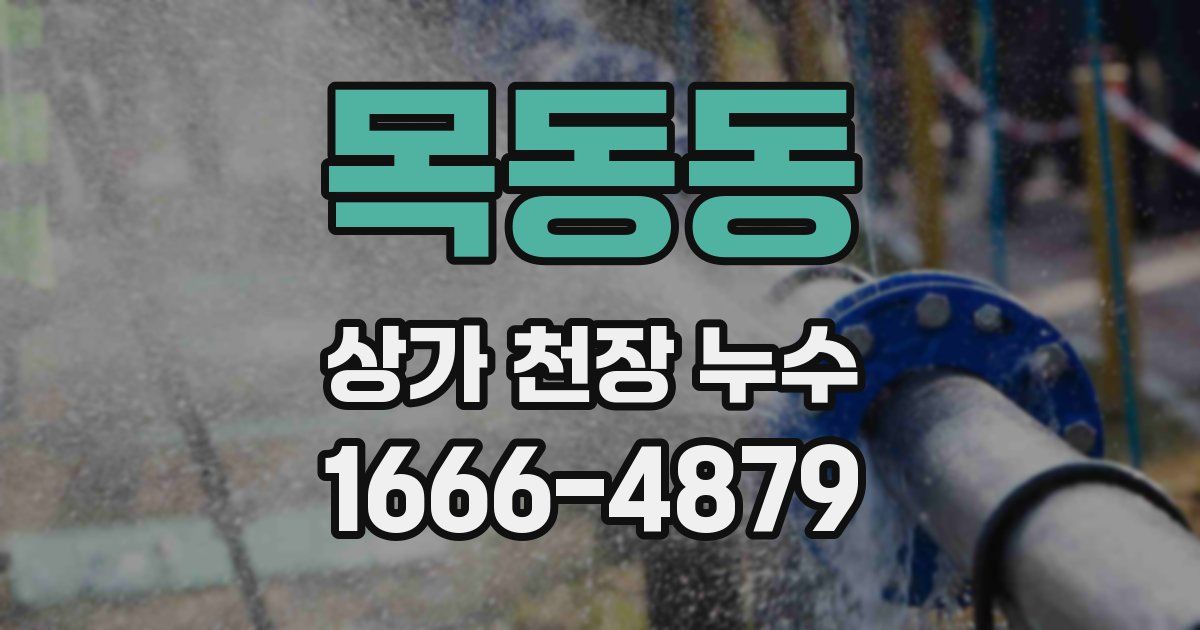 목동동 상가 천장 누수