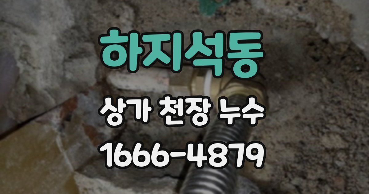 하지석동 상가 천장 누수