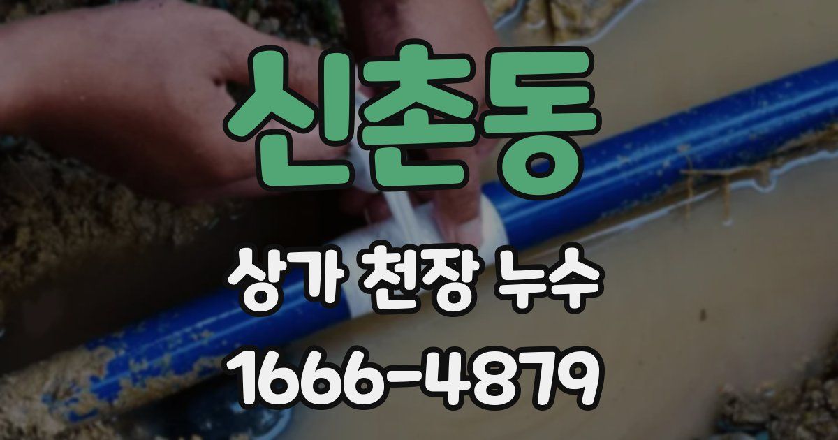 신촌동 상가 천장 누수