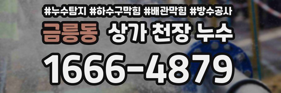 금릉동 상가 천장 누수