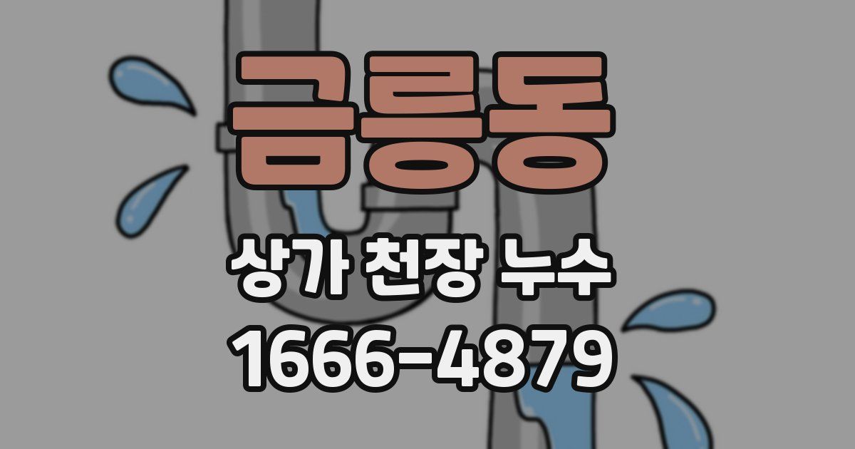 금릉동 상가 천장 누수