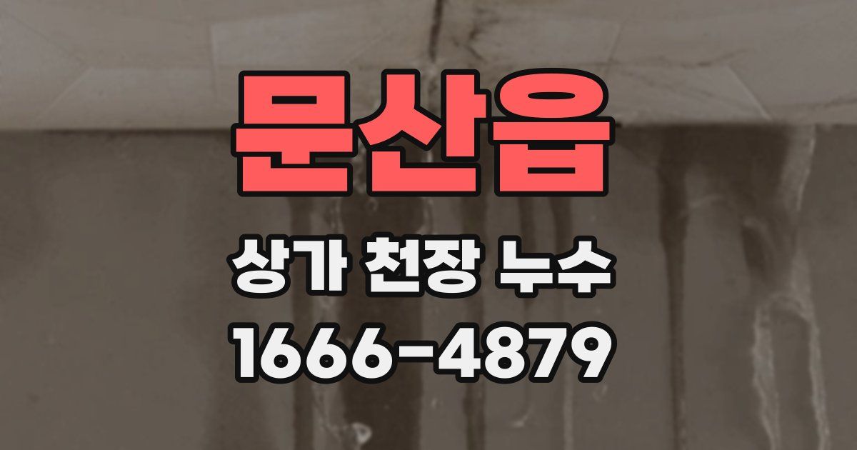 문산읍 상가 천장 누수