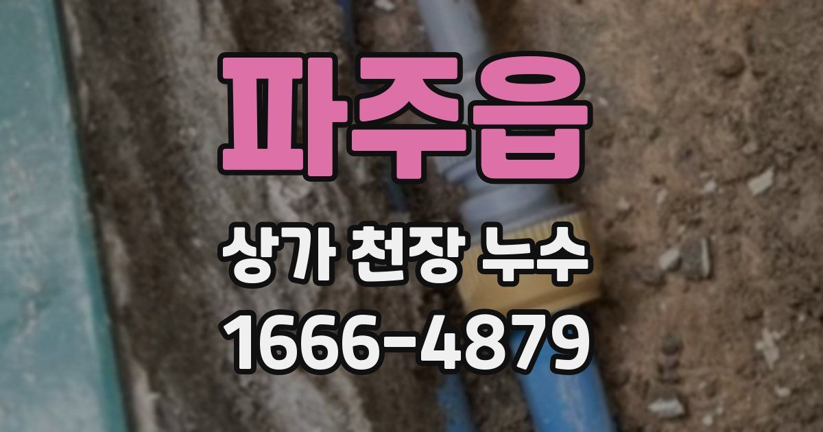 파주읍 상가 천장 누수