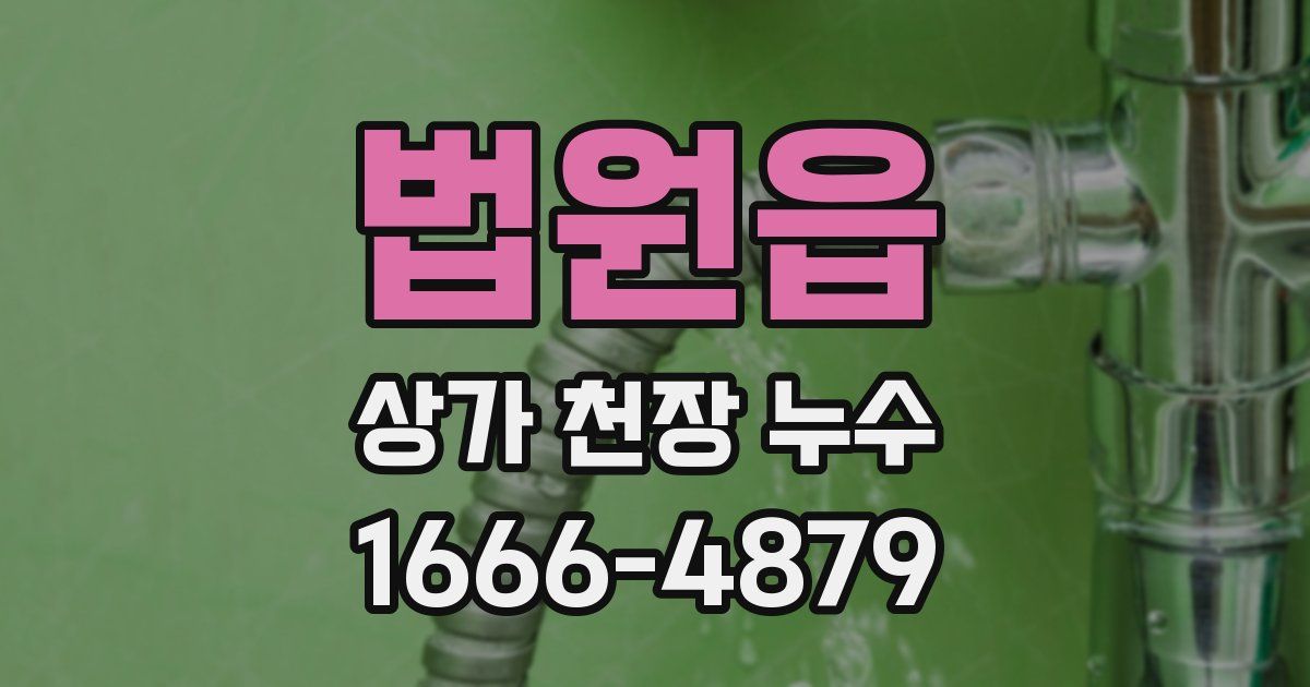법원읍 상가 천장 누수