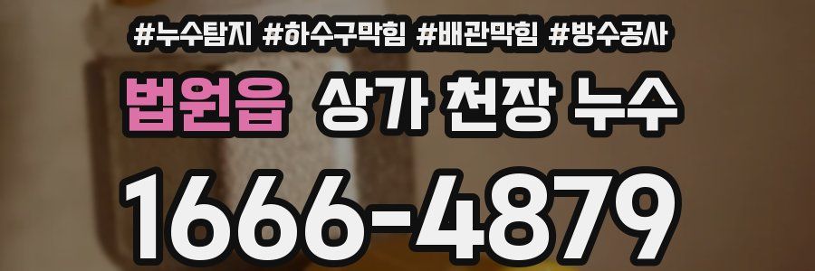 법원읍 상가 천장 누수