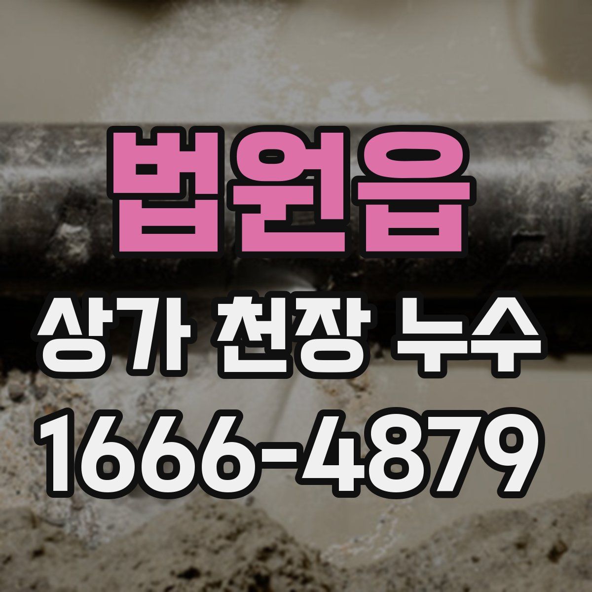 법원읍 상가 천장 누수