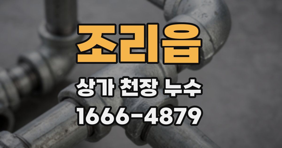 조리읍 상가 천장 누수