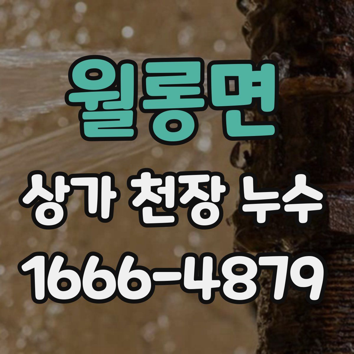 월롱면 상가 천장 누수
