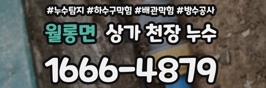 월롱면 상가 천장 누수