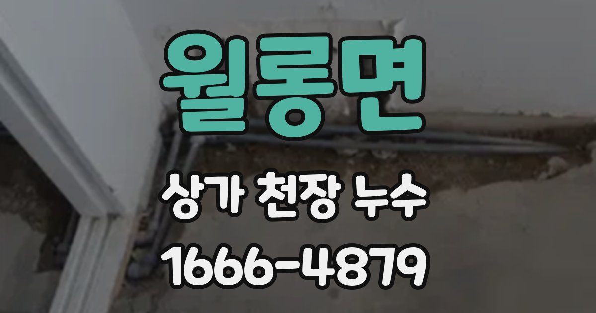 월롱면 상가 천장 누수