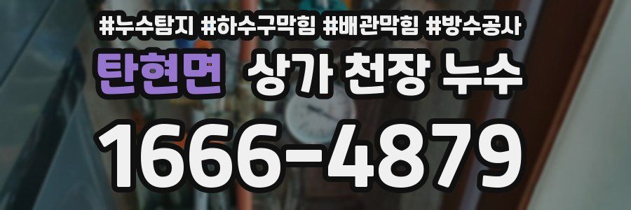 탄현면 상가 천장 누수