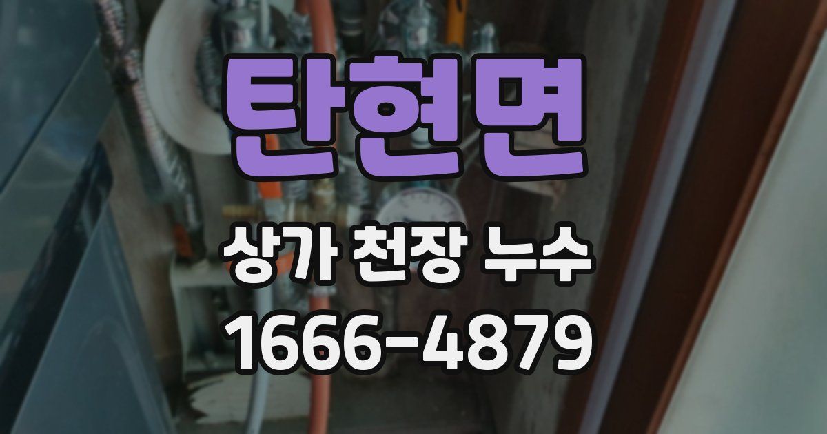 탄현면 상가 천장 누수
