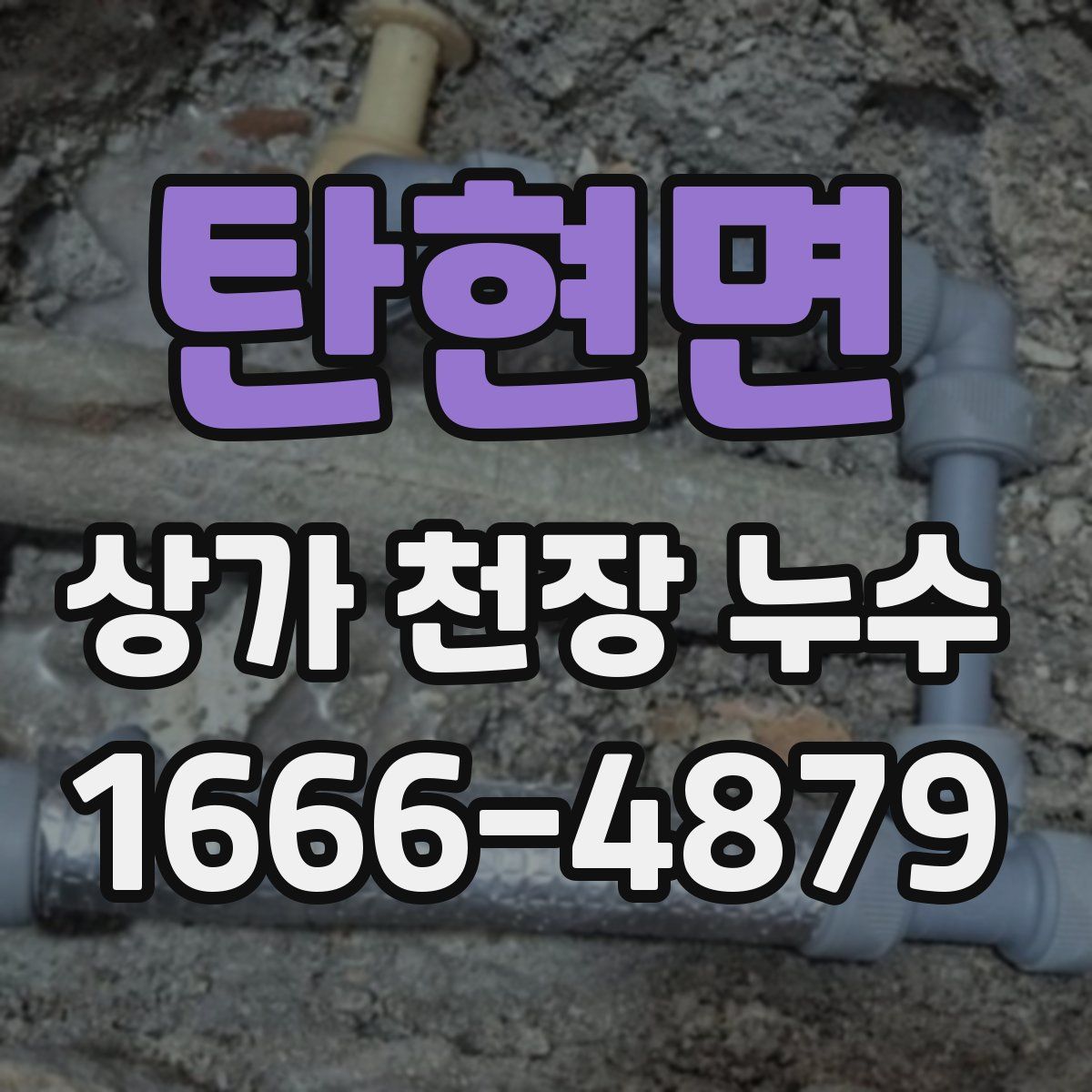 탄현면 상가 천장 누수