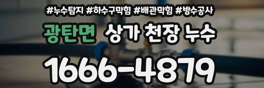광탄면 상가 천장 누수