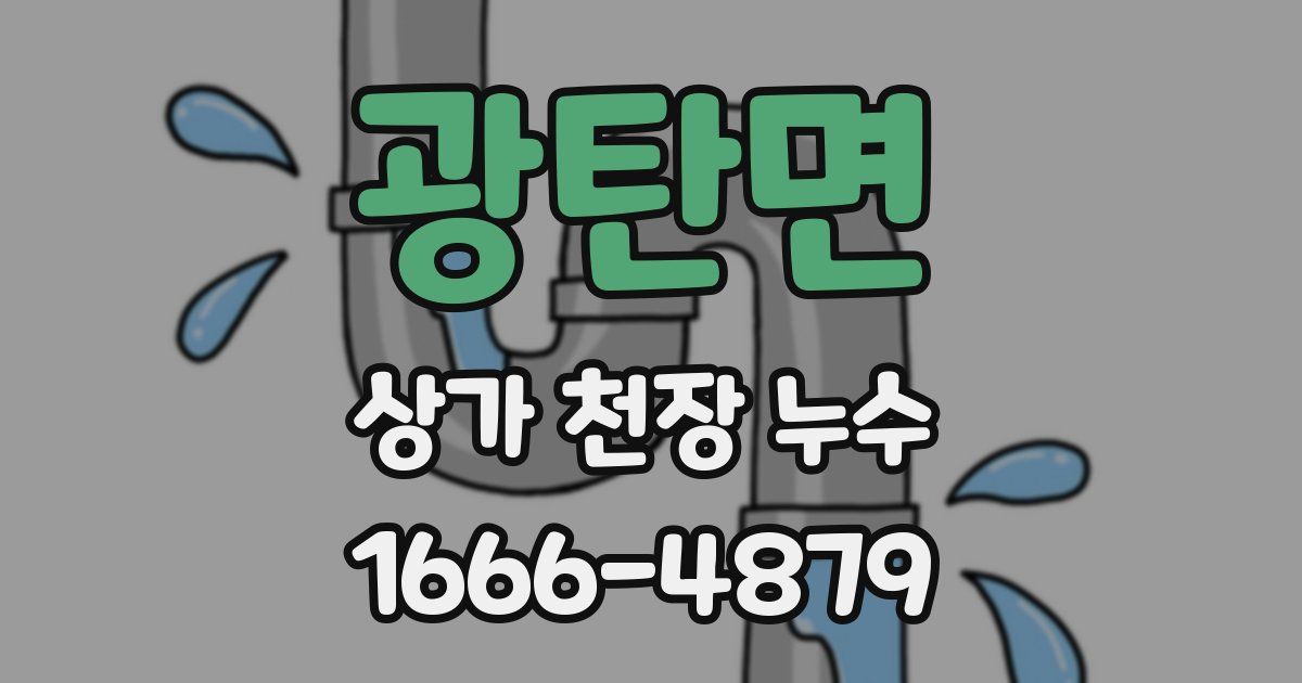 광탄면 상가 천장 누수