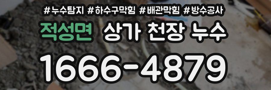 적성면 상가 천장 누수