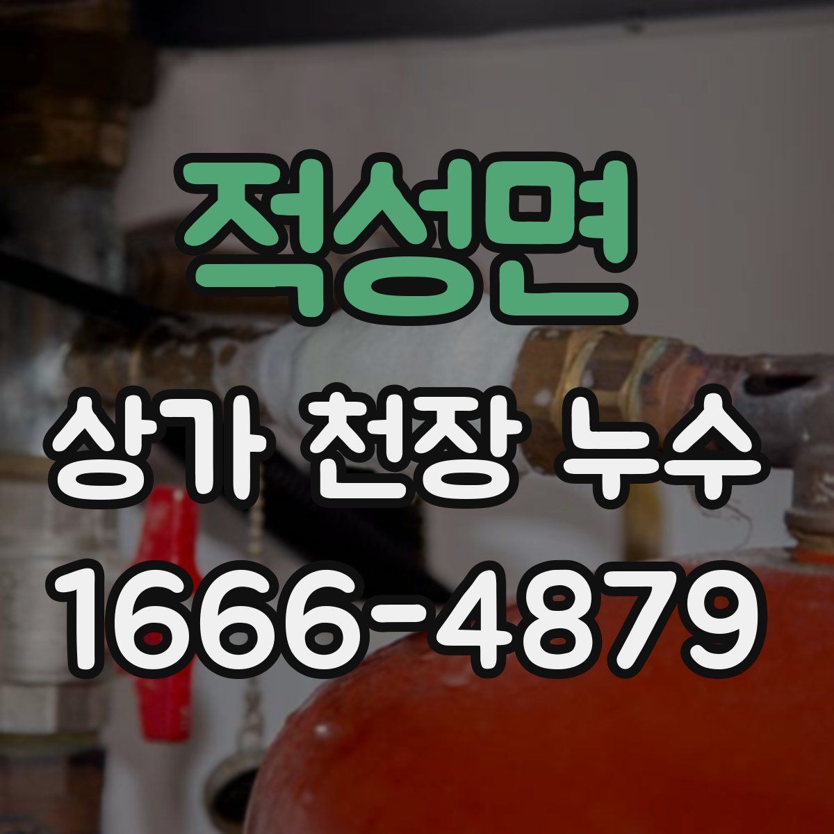 적성면 상가 천장 누수