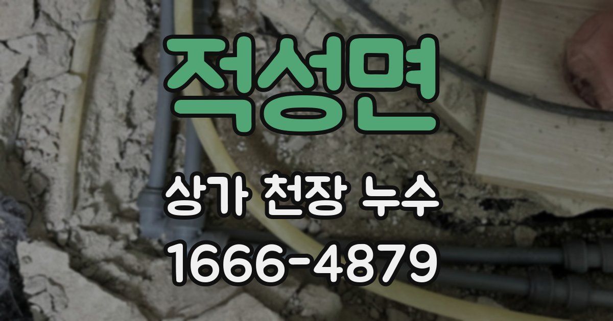 적성면 상가 천장 누수
