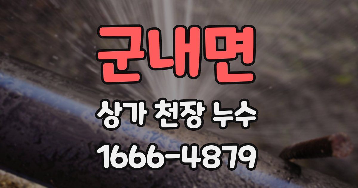 군내면 상가 천장 누수