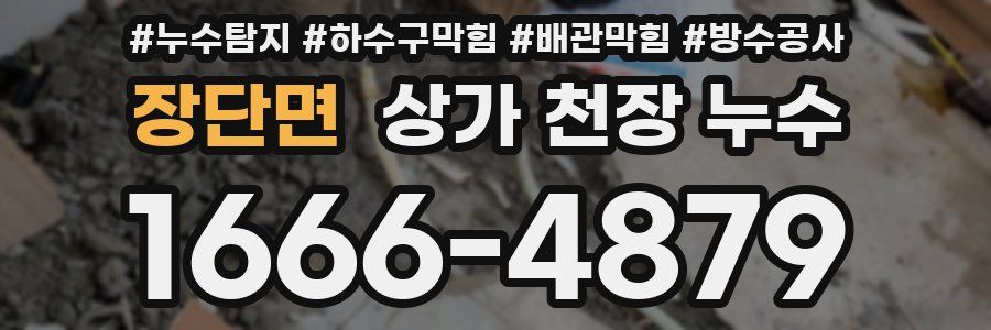 장단면 상가 천장 누수