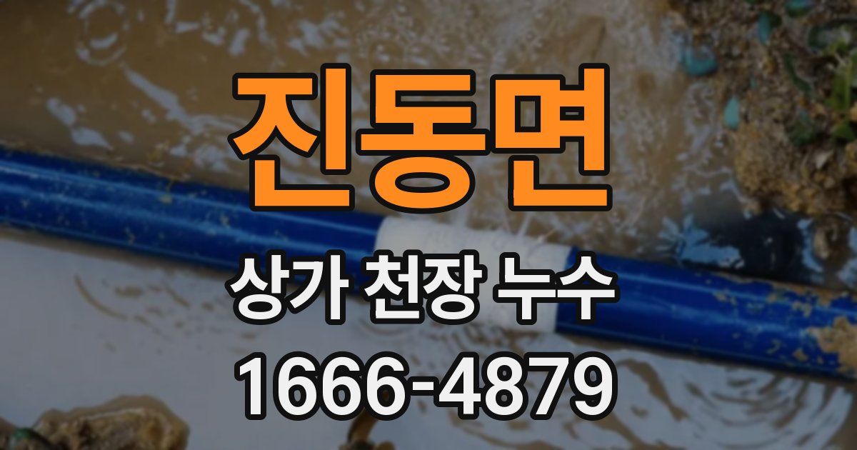 진동면 상가 천장 누수