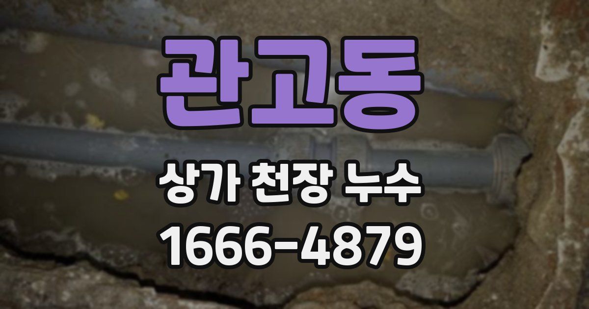 관고동 상가 천장 누수