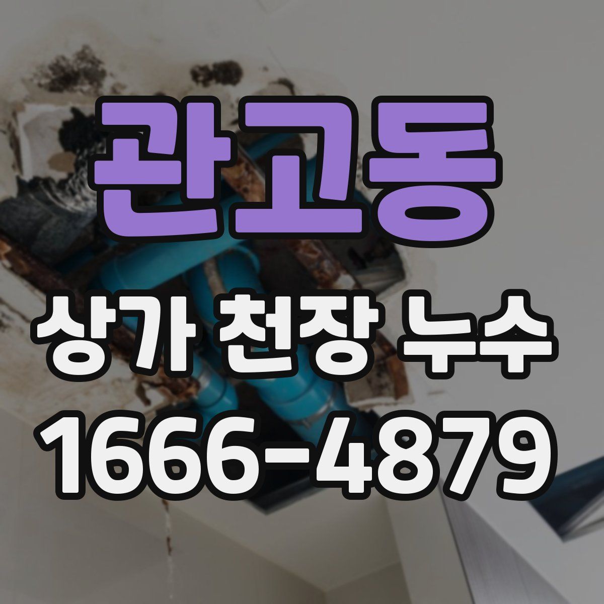 관고동 상가 천장 누수