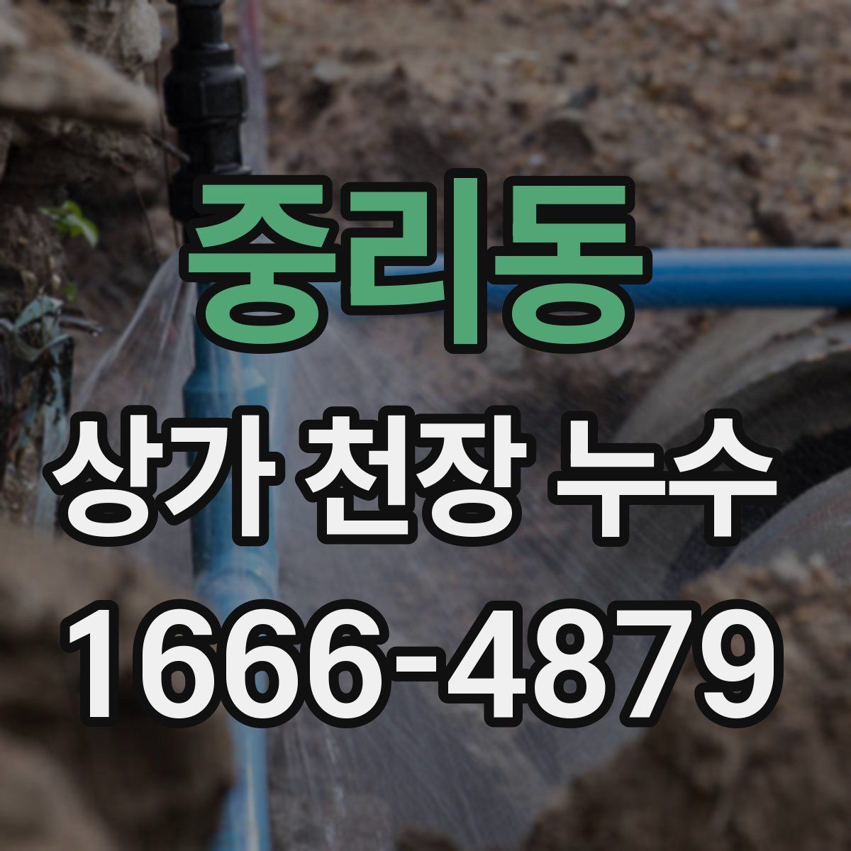 중리동 상가 천장 누수