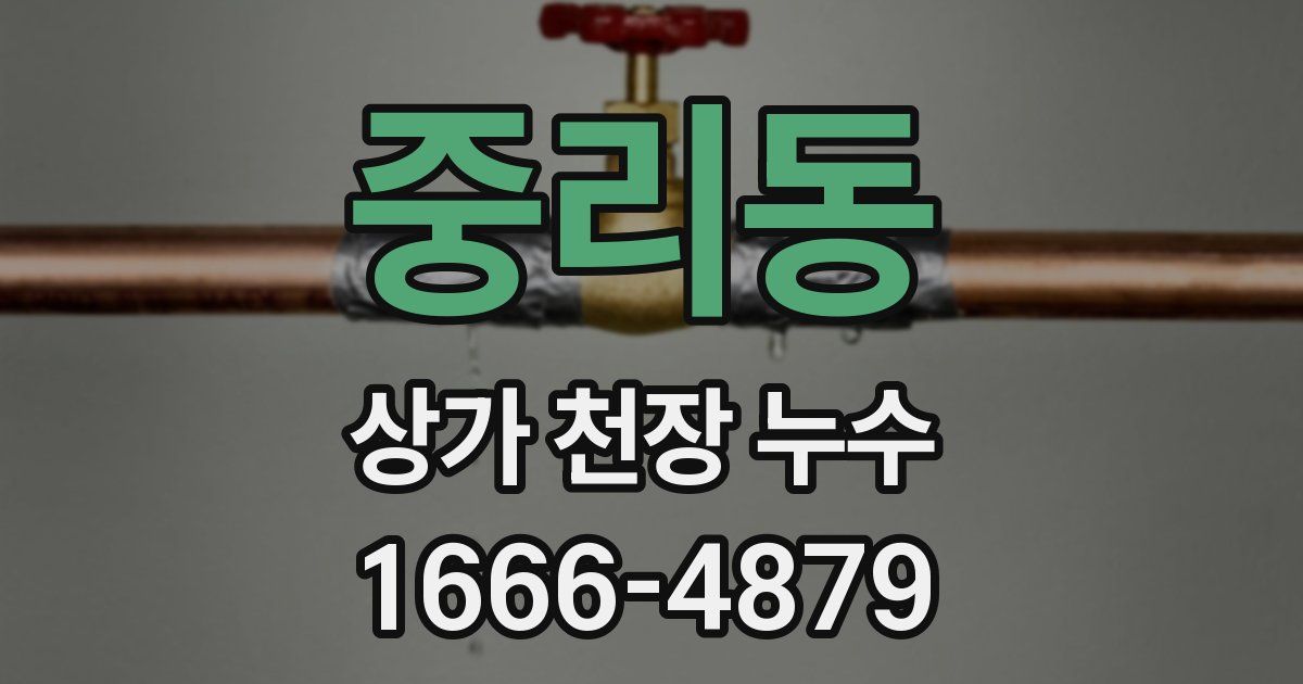 중리동 상가 천장 누수
