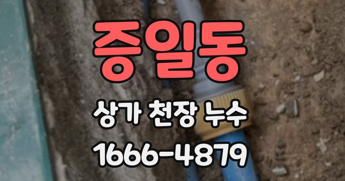 증일동 상가 천장 누수