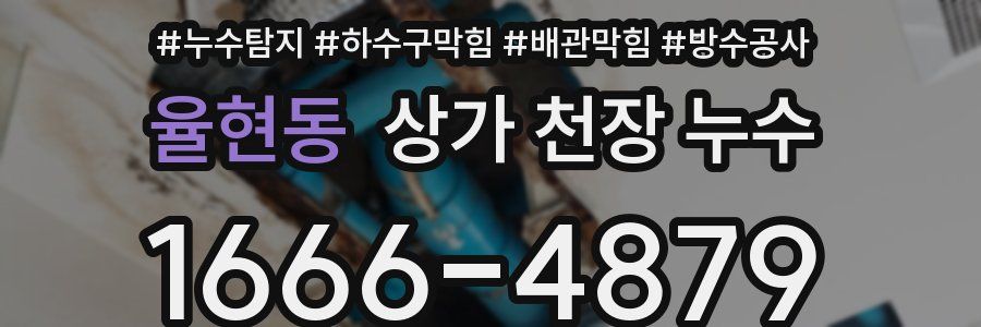 율현동 상가 천장 누수