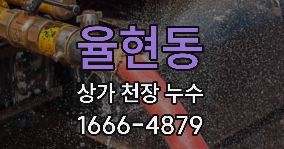 율현동 상가 천장 누수