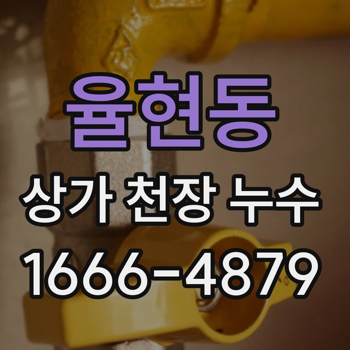 율현동 상가 천장 누수