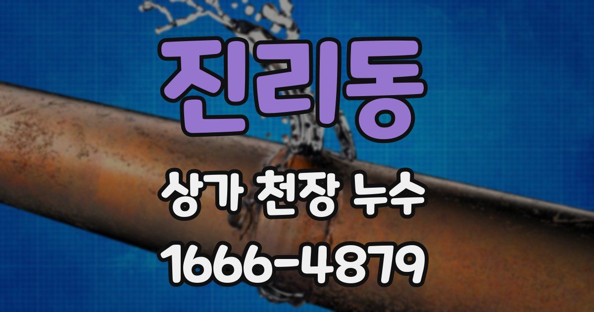 진리동 상가 천장 누수