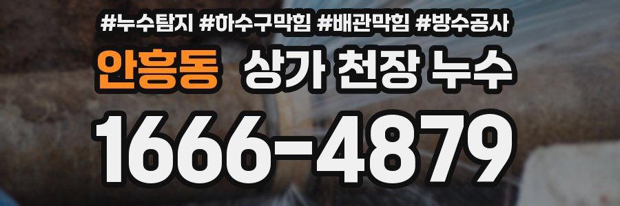 안흥동 상가 천장 누수