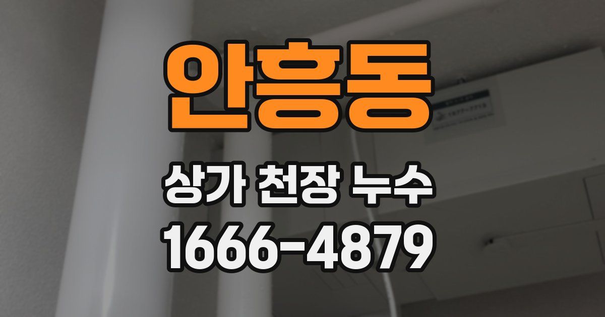 안흥동 상가 천장 누수